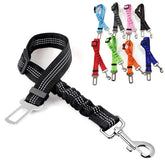 PET CAR SEATBELT - Furbabies Online